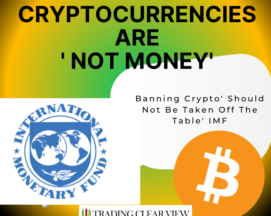 Banning Crypto' Should Not Be Taken Off The Table' IMF