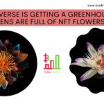 Metaverse is getting a greenhouses and gardens are full of NFT flowers