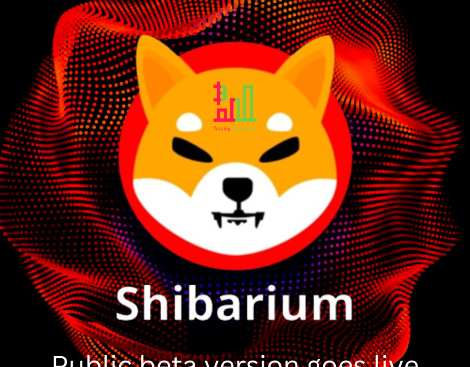 Public beta version of shib goes live, here’s how you can test it Shibarium