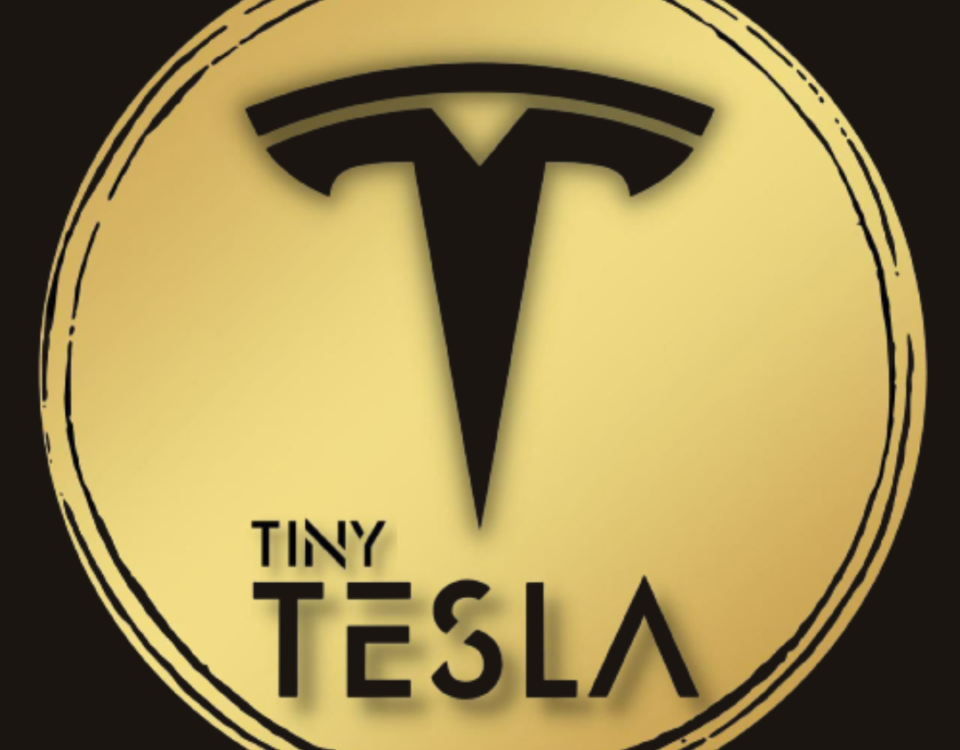 (TINT) TinyTesla: Revolutionary token that is electrifying the crypto world