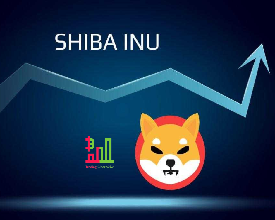 Shiba Inu Meme Coin Price Prediction 2023