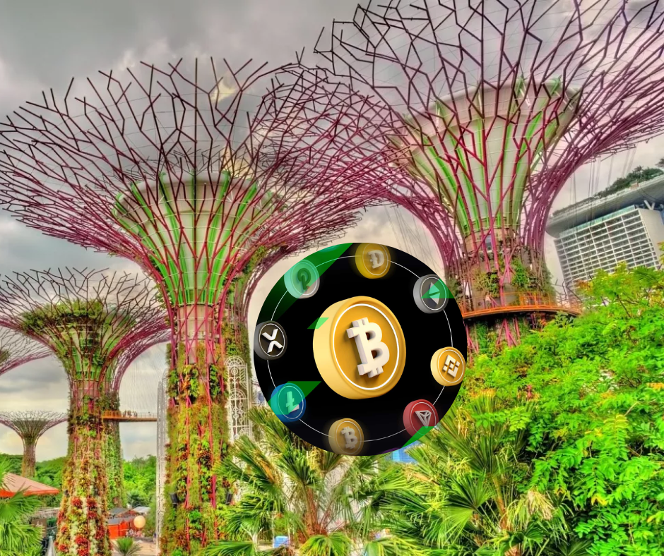 Singapore is the safe haven for rich people who use cryptocurrency