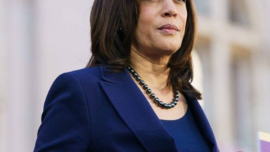 Executives Push Kamala Harris to Reconsider Her Position on Cryptocurrency