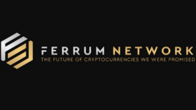 How Ferrum Network Tokens FRM